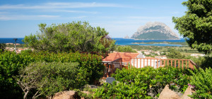 Porto San Paolo - Villa with sea view