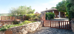 Porto San Paolo - Villa with sea view