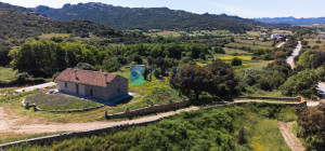Azienda Agricola di Prestigio con Vigneti e Sugherete