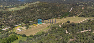 Azienda Agricola di Prestigio con Vigneti e Sugherete