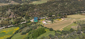 Azienda Agricola di Prestigio con Vigneti e Sugherete