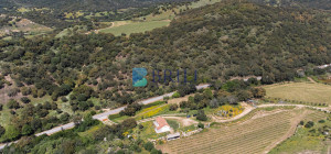 Azienda Agricola di Prestigio con Vigneti e Sugherete