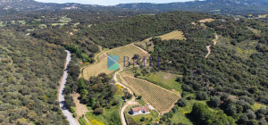 Azienda Agricola di Prestigio con Vigneti e Sugherete