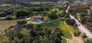 Azienda Agricola di Prestigio con Vigneti e Sugherete