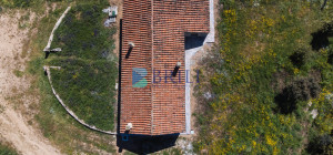 Azienda Agricola di Prestigio con Vigneti e Sugherete