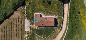 Azienda Agricola di Prestigio con Vigneti e Sugherete