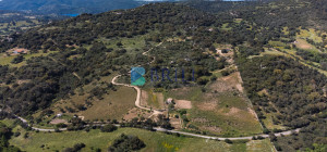Azienda Agricola di Prestigio con Vigneti e Sugherete