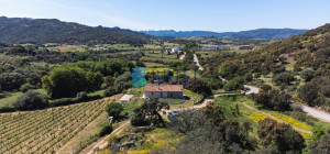 Azienda Agricola di Prestigio con Vigneti e Sugherete