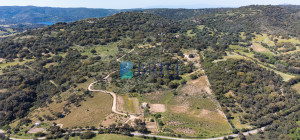 Azienda Agricola di Prestigio con Vigneti e Sugherete