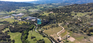 Azienda Agricola di Prestigio con Vigneti e Sugherete