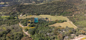 Azienda Agricola di Prestigio con Vigneti e Sugherete