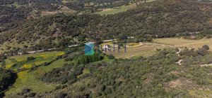 Azienda Agricola di Prestigio con Vigneti e Sugherete