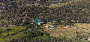 Azienda Agricola di Prestigio con Vigneti e Sugherete