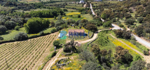 Azienda Agricola di Prestigio con Vigneti e Sugherete