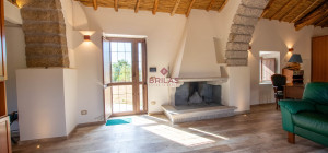 Prestigious Farm with Vineyard and Cork Oaks
