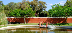 Elegance and Nature in Telti