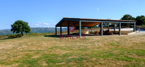 Elegance and Nature in Telti