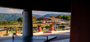 Elegance and Nature in Telti
