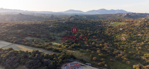 Elegance and Nature in Telti