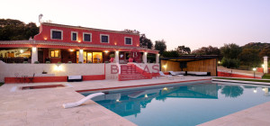 Elegance and Nature in Telti