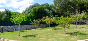 Elegance and Nature in Telti