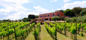 Elegance and Nature in Telti