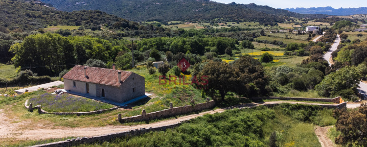 Prestigious Farm with Vineyard and Cork Oaks